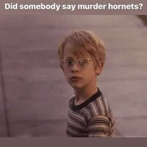 Meet your Posher, Kenny